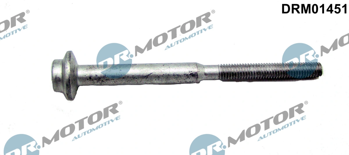 Surub suport injector
