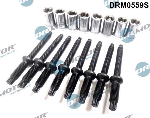 Surub suport injector