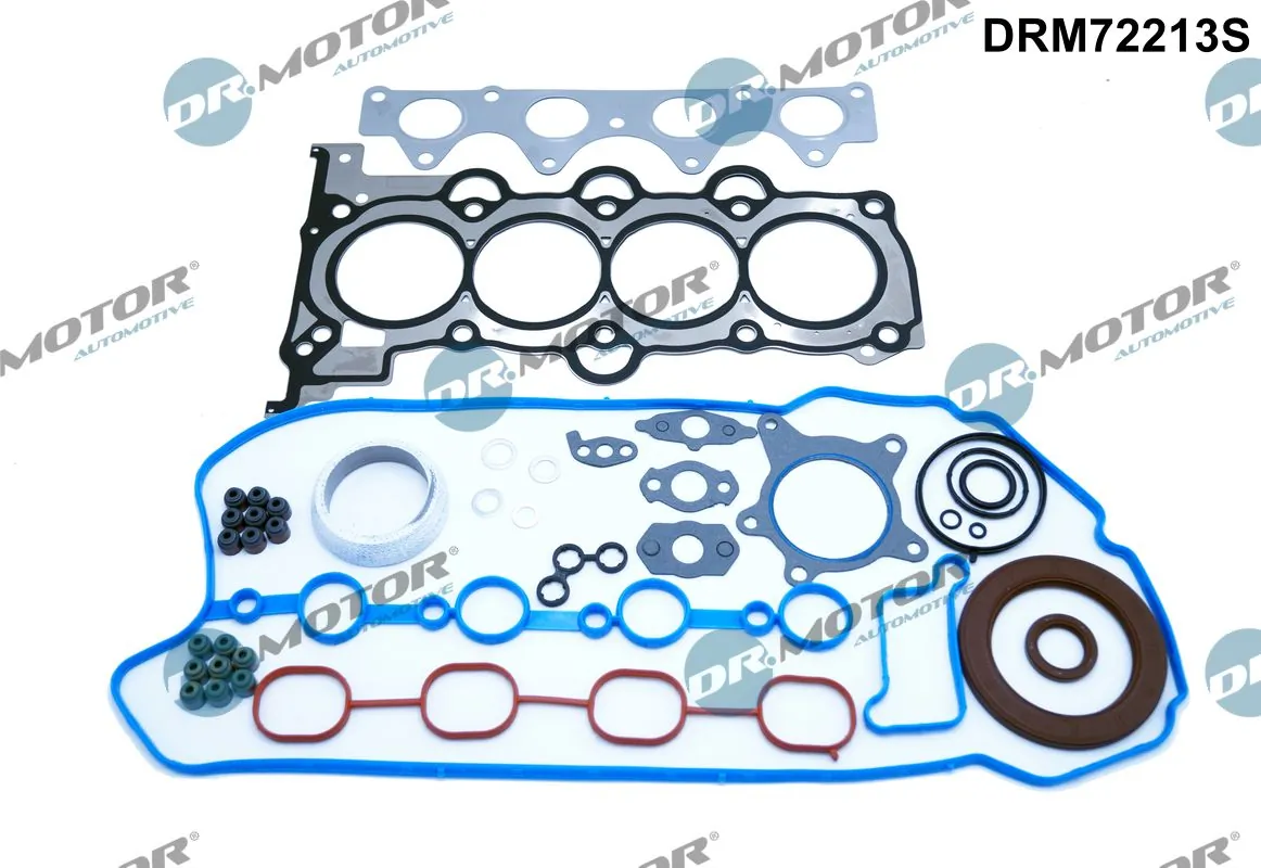 Set garnituri complet, motor