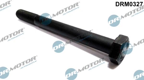 Surub suport injector