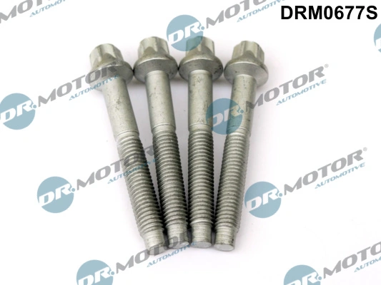 Surub suport injector