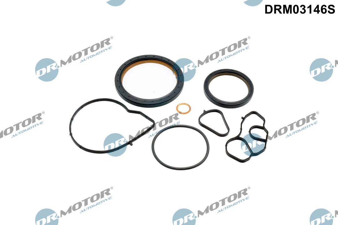 Set garnituri carter