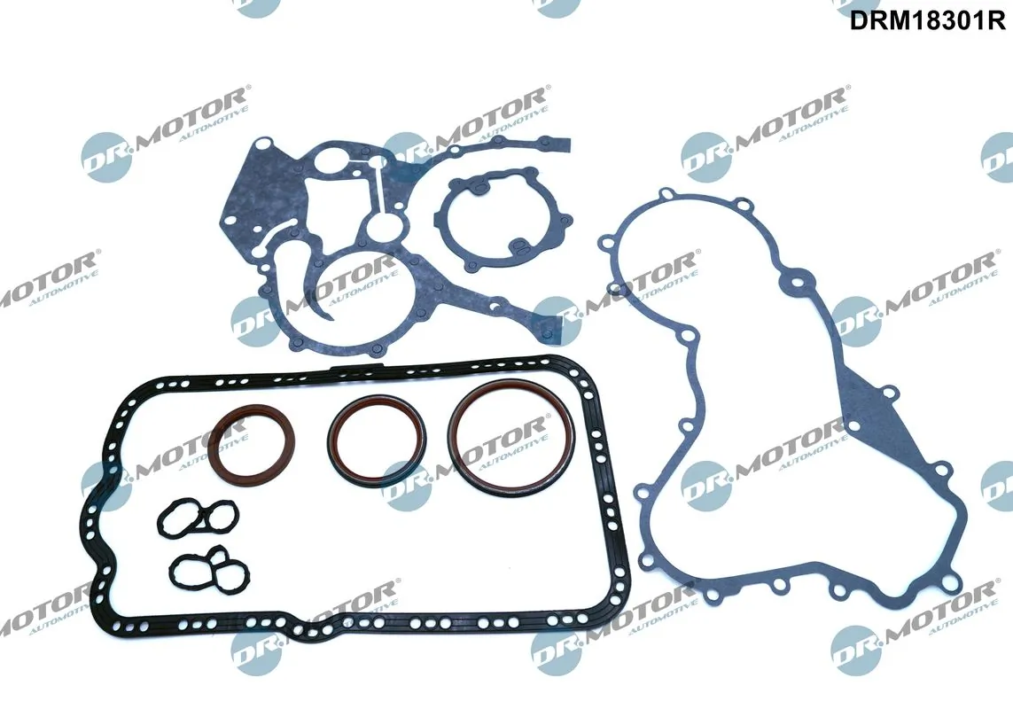 Set garnituri carter