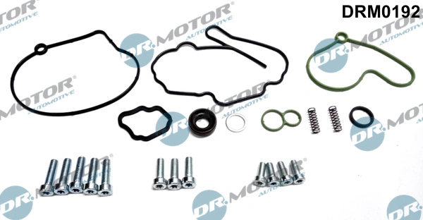 Set reparatie pompa vacuum (siste frana)