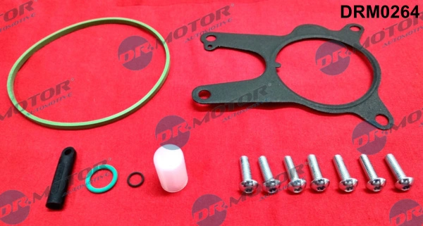 Set reparatie pompa vacuum (siste frana)