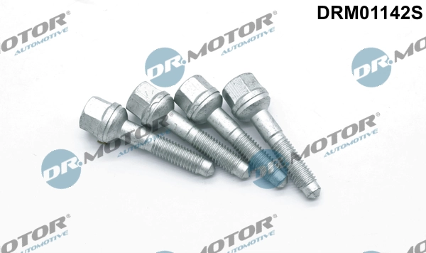 Surub, suport injector
