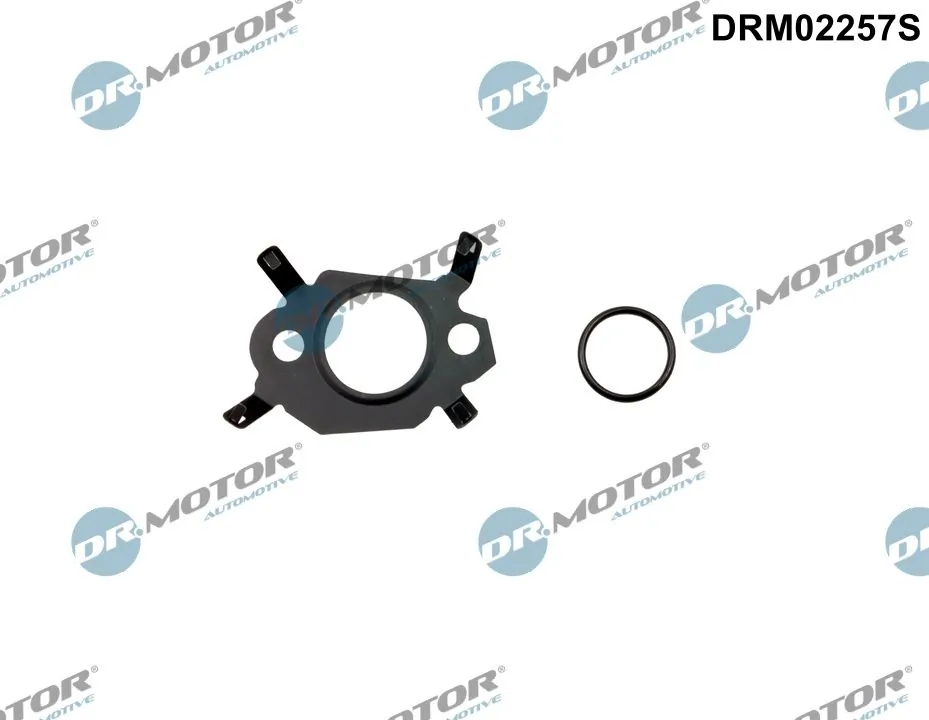Set garnituri sistem EGR
