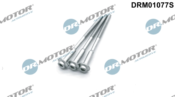Surub suport injector