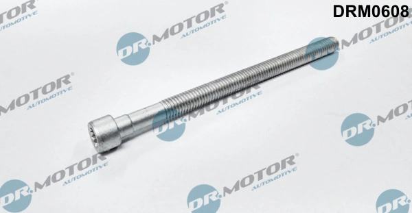 Surub suport injector