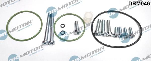 Set reparatie pompa vacuum (siste frana)