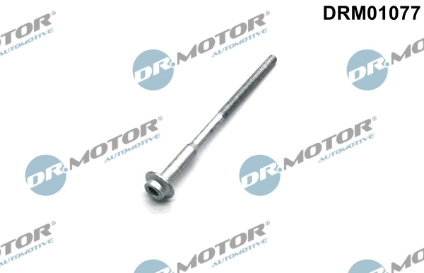 Surub suport injector
