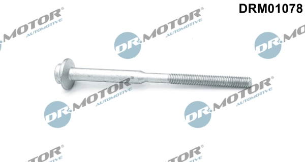 Surub suport injector