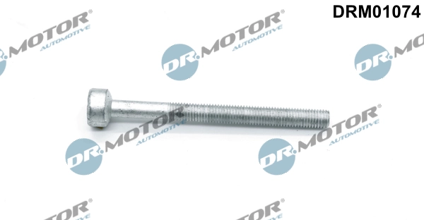 Surub, suport injector