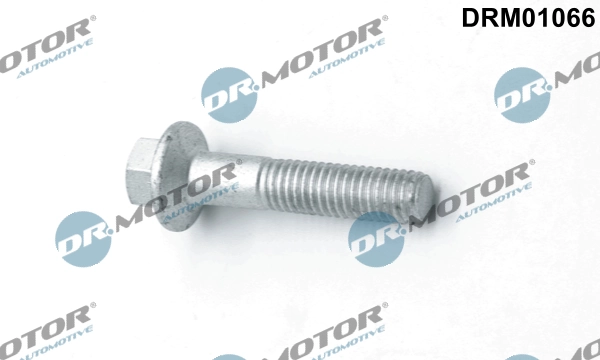 Surub suport injector