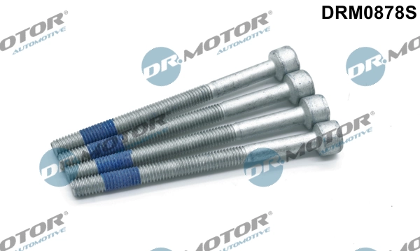 Surub suport injector