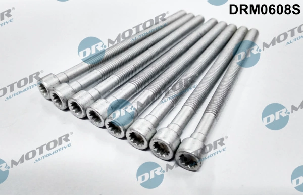 Surub suport injector