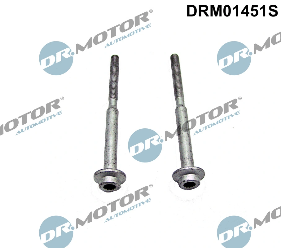 Surub suport injector