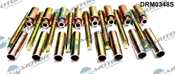 Surub suport injector