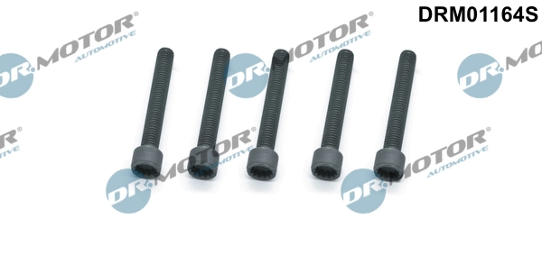 Surub suport injector