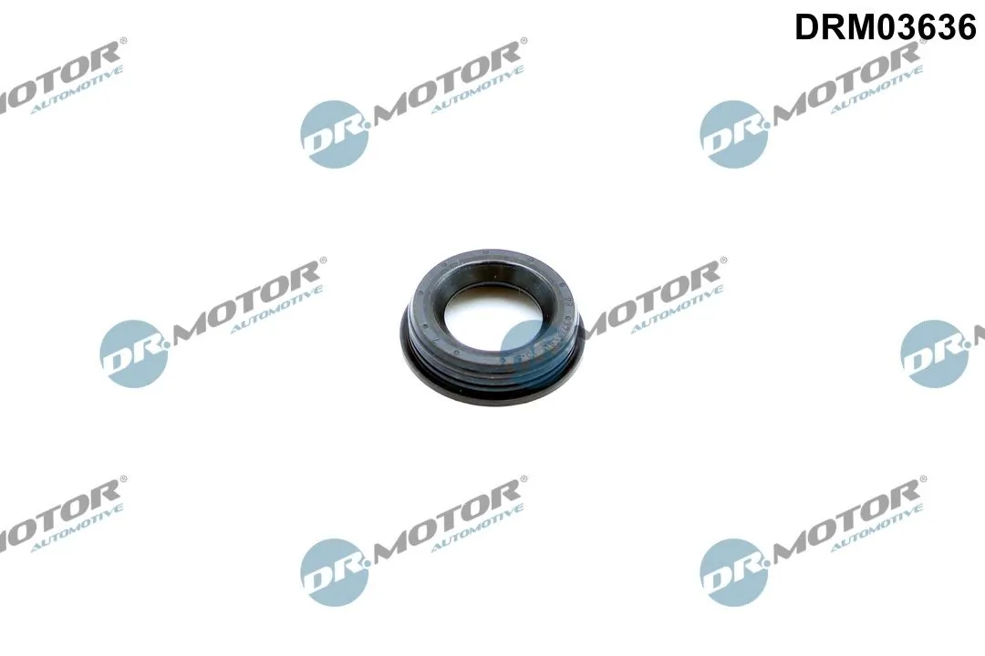 Garnitura,aerisire bloc motor