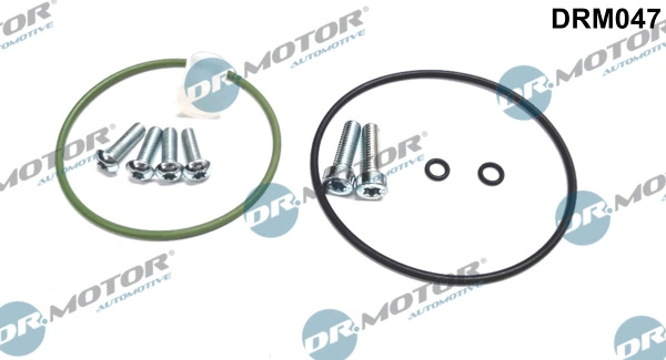 Set reparatie, pompa vacuum (siste frana)