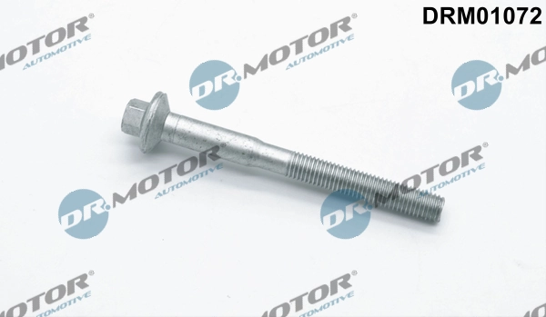 Surub, suport injector
