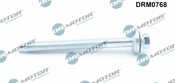 Surub suport injector