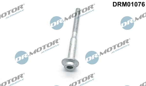 Surub suport injector