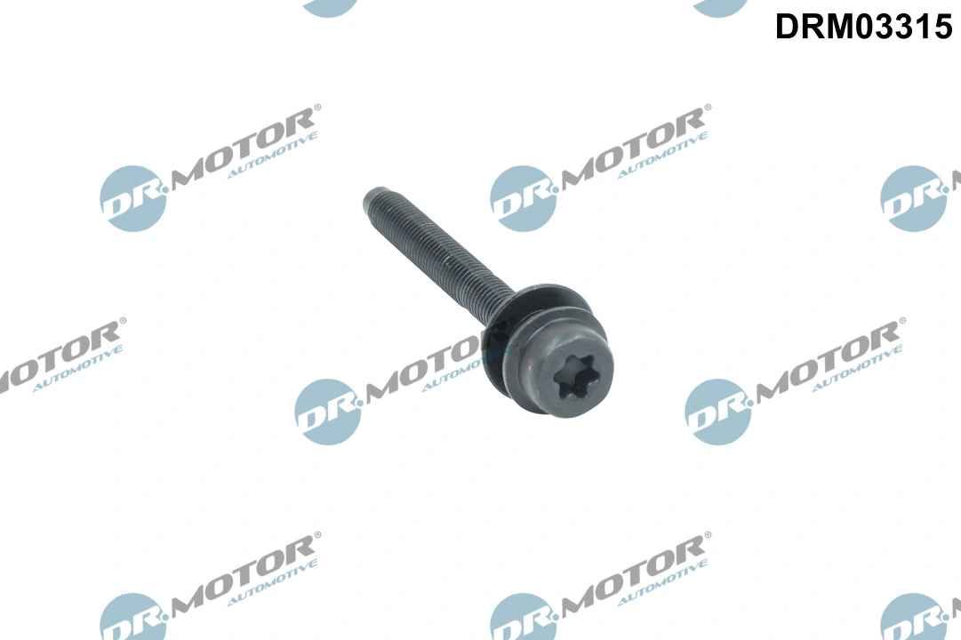 Surub suport injector