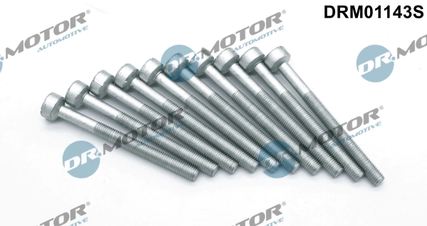 Surub suport injector