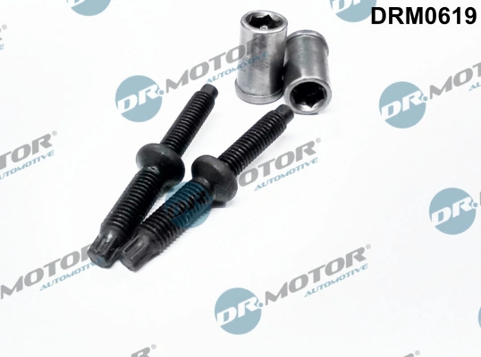Surub suport injector