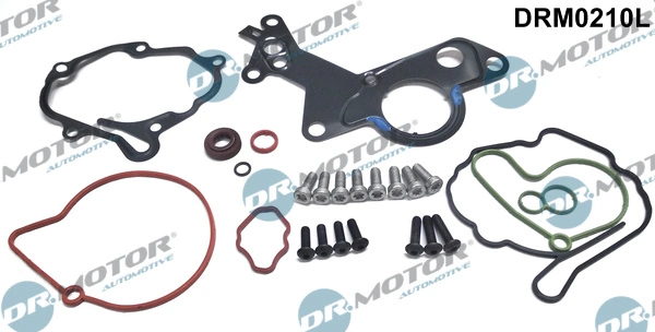 Set reparatie pompa vacuum (siste frana)