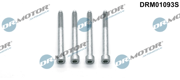 Surub suport injector