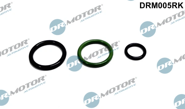 Chit reparatie unitate pompa-diuza