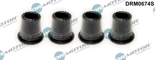 Etansare suport injector