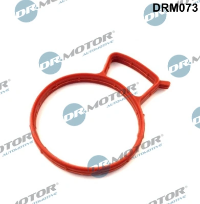 Etansare carcasa clapeta