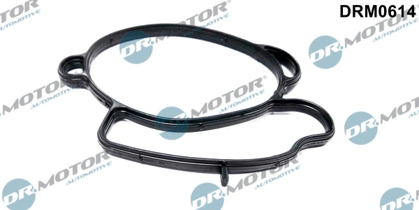 Etansare carcasa clapeta