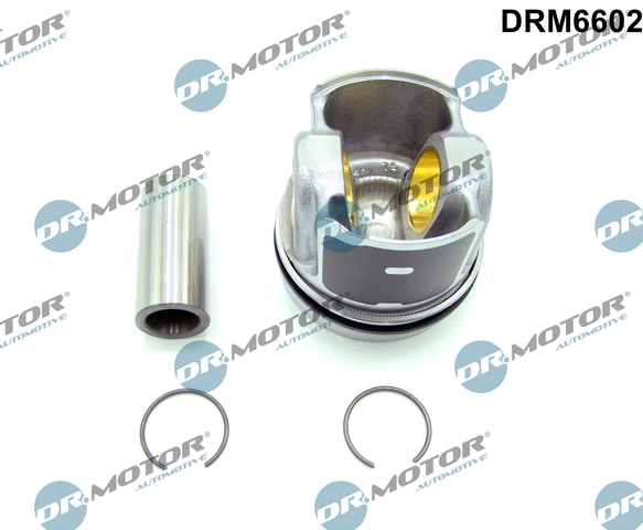 Motor excluzand accesoriile