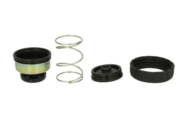 Set reparatie pompa combustibil