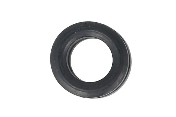 Garnitura pompa de apa