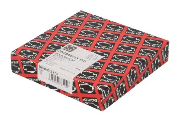 Set segmenti piston