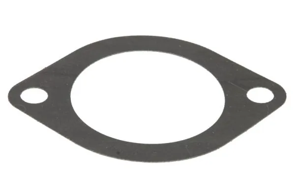 Garnitura termostat