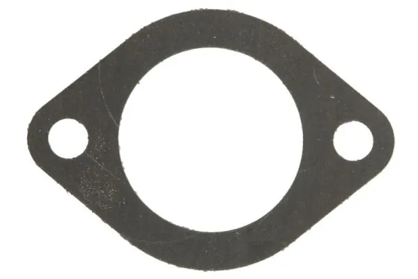 Garnitura termostat
