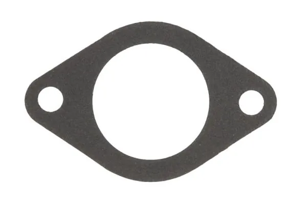Garnitura carcasa termostat