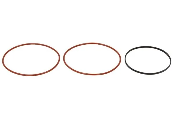 O-ring camasa cilindru