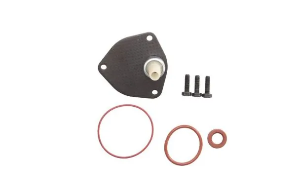 Set reparatie pompa vacuum (siste frana)