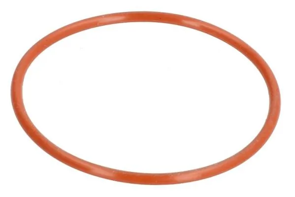 Garnitura termostat