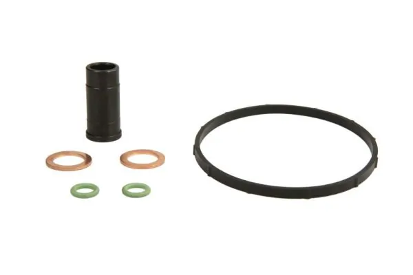 Set reparatie pompa combustibil
