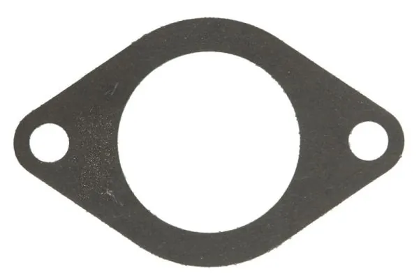 Garnitura termostat