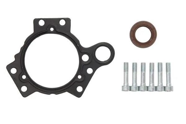 Set reparatie, pompa combustibil